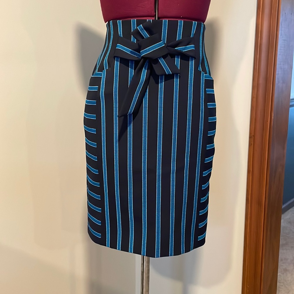 Striped embroidery pencil skirt